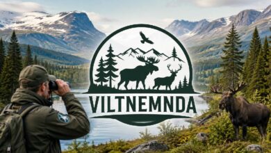 Viltnemnda