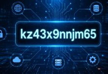 kz43x9nnjm65
